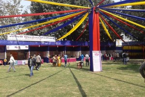 mlf 18