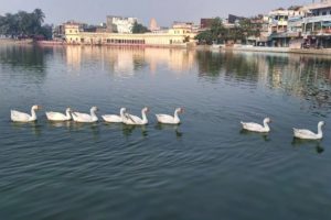 tila-sankranti-snan